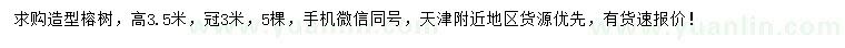 求購高3.5米榕樹