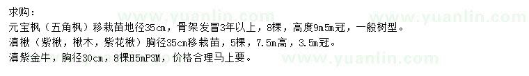 求購元寶楓、滇楸、滇紫金牛