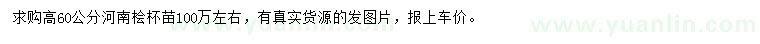 求購(gòu)高60公分河南檜
