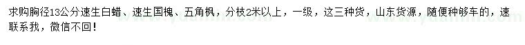 求購(gòu)速生白蠟、速生國(guó)槐、五角楓
