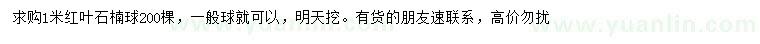 求購(gòu)1米紅葉石楠球