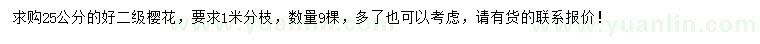 求購25公分櫻花