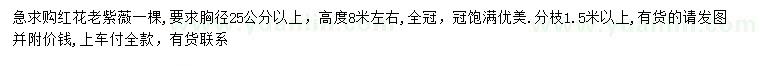 求購(gòu)胸徑25公分以上紅花老紫薇