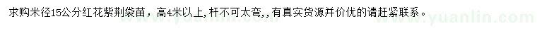 求購米徑15公分紅花紫荊