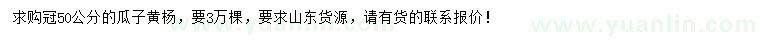 求購(gòu)冠50公分瓜子黃楊