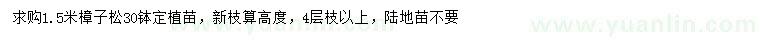 求購1.5米樟子松
