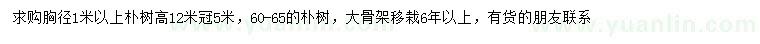 求購胸徑1米以上樸樹