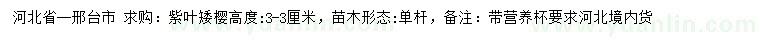 求購(gòu)高3公分紫葉矮櫻