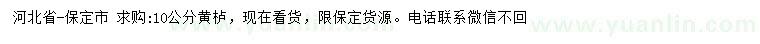 求購10公分黃櫨