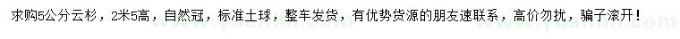 求購(gòu)高2.5米云杉