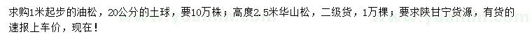 求購(gòu)高1米以上油松、高2.5米以上華山松