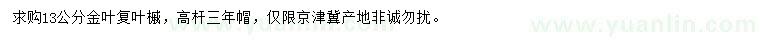 求購13公分金葉復葉槭