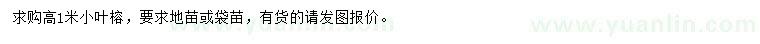 求購高1米小葉榕
