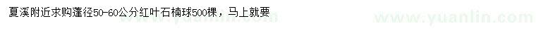 求購蓬徑50-60公分紅葉石楠球