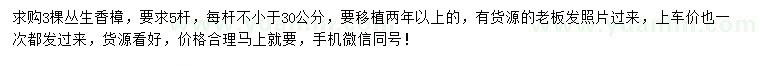 求購叢生香樟