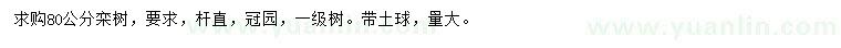求購80公分欒樹