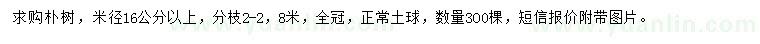 求購米徑16公分以上樸樹