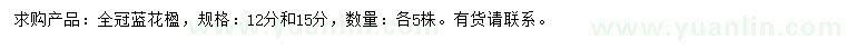 求購(gòu)12、15公分藍(lán)花楹