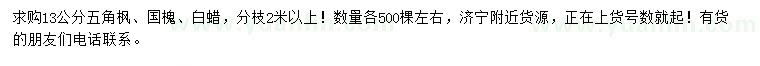 求購13公分五角楓、國槐、白蠟