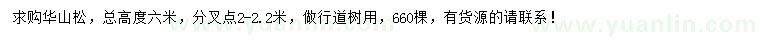 求購高6米華山松