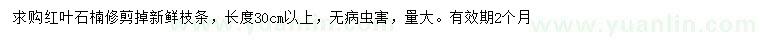 求購長30公分以上紅葉石楠
