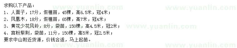 求購人面子、鳳凰木、黃花少花風鈴等