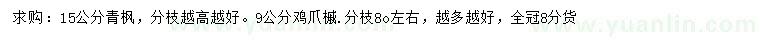 求購(gòu)15公分青楓、9公分雞爪槭