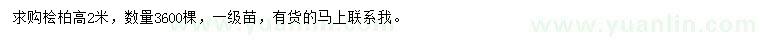 求購高2米檜柏