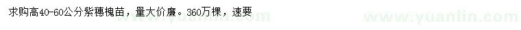 求購(gòu)高40-60公分紫穗槐