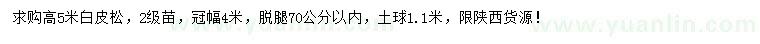 求購(gòu)高5米白皮松
