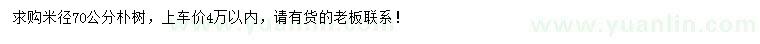 求購(gòu)米徑70公分樸樹(shù)