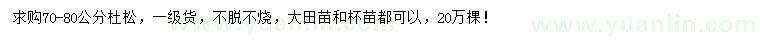 求購70-80公分杜松