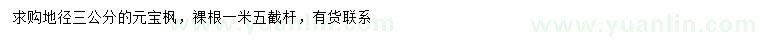 求購(gòu)地徑3公分元寶楓