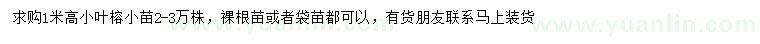 求購(gòu)高1米小葉榕