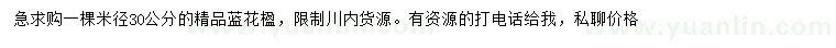 求購(gòu)米徑30公分藍(lán)花楹