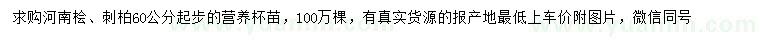 求購(gòu)60公分起步河南檜、刺柏
