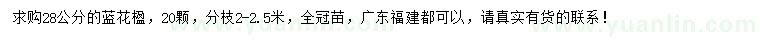 求購28公分藍花楹