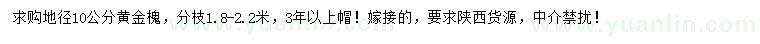 求購地徑10公分黃金槐