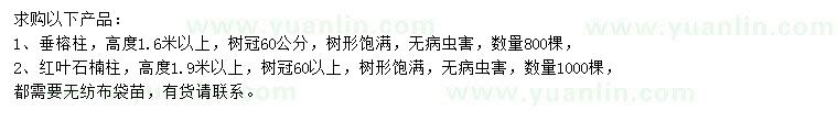 求購高1.6米以上垂榕柱、1.9米以上紅葉石楠柱