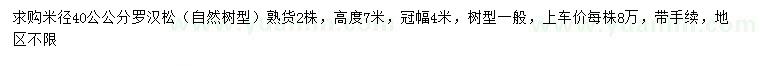 求購米徑40公公分羅漢松