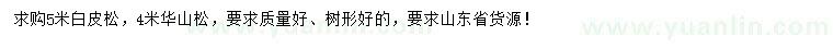 求購5米白皮松、4米華山松