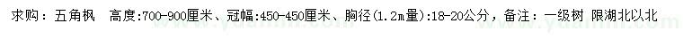 求購1.2米量18-20公分五角楓