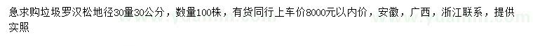 求購(gòu)30量30公分垃圾羅漢松