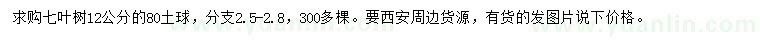 求購12公分七葉樹