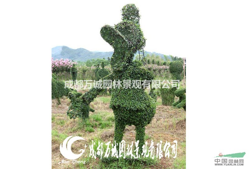女贞造型米老鼠唐老鸭