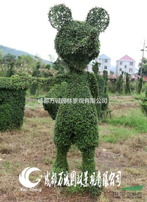 女贞造型米老鼠唐老鸭