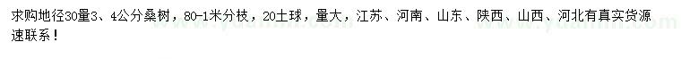求購地徑30量3、4公分桑樹