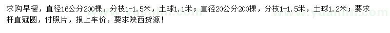 求購16、20公分早櫻