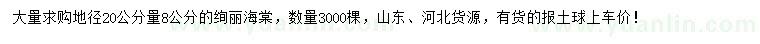 求購(gòu)地徑20量8公分絢麗海棠