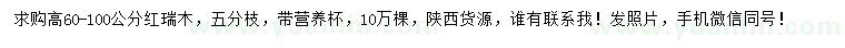 求購(gòu)高60-100公分紅瑞木